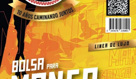 Papeleta-Manga-Jojos